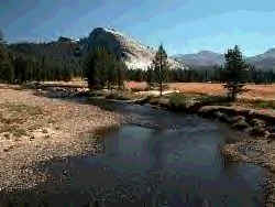 River Dance Ranch Outback